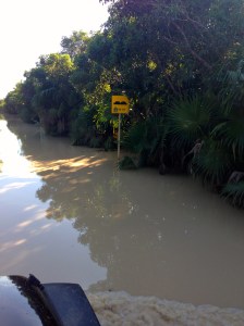 Topes is spanish of speed bump! Kind of a moot point 